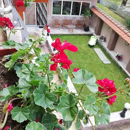 приятелската къща Velingrad