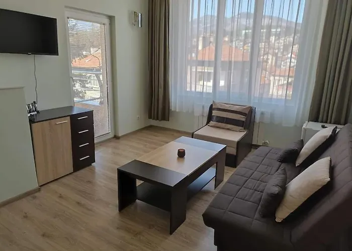 Guest house приятелската къща Velingrad